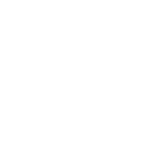 Flutter