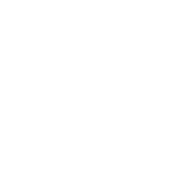CBT LinkedIn icon